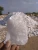 Import mines direct top suppler in India Silica Quartz lumps SiO2 99% and  snow white aggregate from India