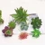 Import mini diy succulent artificial plant for home decor sing head succulent plant for Micro Landscape Design Flower Arrangement from China