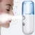 Import Mist Sprayer Mini 30ml Nano Portable Face Spray Facial Body Steamer Moisturizing Skin Care Humidifier Instruments from China