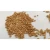 Import Natural Fenugreek Seed single spice for export in all form whole /powder from India