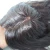 Import Natural Wave Indian Human Hair Fish Net Women Toupee from China