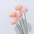Import New Arrival Handmade Flower Diffuser Small Decorative Artificial Foam Small Sola Flowers Decoration Home Decor for All Party 20g from China