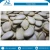 Import New Crop 45% Oil Content Top Grade Quality Natural White Pumpkin Seeds from Ethiopia