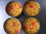 new crop  canned mixed  fruit cocktail in syrup in LS in light syrup in pear juice