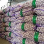 New Crop Normal White Fresh Garlic