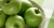 Import New fresh green fuji apples from Ukraine