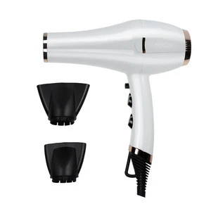 New Products IdealAC Motor Blower Drier Spray Paint Coated Professional Salon Use 2000W Watt Ionic Hair Dryer For MP6610