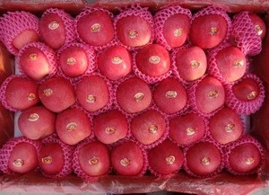 New season grade A red fuji/gala fresh apple