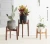 Import Nordic Style Hot Selling In Amazon Decorative Desk Flower Planter Bamboo Wood Flower Pot Planter from China