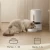 Import oem wholesale automatic smart dog cat pet feeder automatic pet feeder dog from China