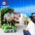 Import Online shopping wholesale perfect hole animatronics dinosaur for Advertising events from China