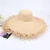 Import Outdoor Spring Summer Straw Material Natrual Color Beach Sunhat Frayed Edges Wide Brim Raffia Straw Hats from China