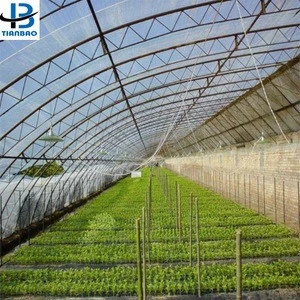 Pe Plastic Film Factory Sale Greenhouse Film For Agricultural
