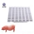 Import pig farm use plastic floors pig equipment pig plastic slats floor from China