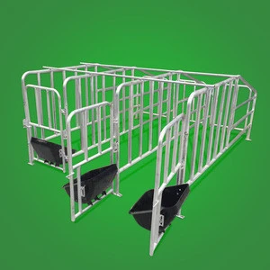 pig gestation stall / limit crates / pig cage for sale