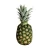 Import Pineapples from South Africa