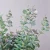 Import Plastic eucalyptus frosted stems purple green color artificial eucalyptus plants leaves artificial plants from China