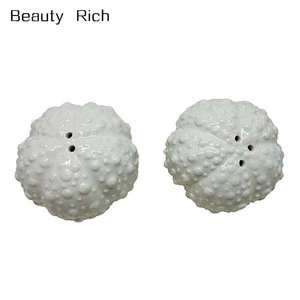 Porcelain White Ceramic Sea Urchin Shells Salt and Pepper Set
