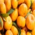 Import PREMIUM FRESH ORANGES - Big Orange Fruits Best Price Offer .. from South Africa