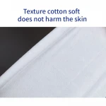 Private Label Natural Ingredients Disposable Cleaning Single Oem Individual Packing Wet Wipes