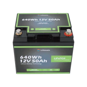 Professional factory lithium battery 12v 24v 12ah 18ah 50ah electric toy tool solar led light industrial locomotive