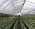 Import Professional Manufacturers Agriculture Intelligent Film Greenhouse for sale from China