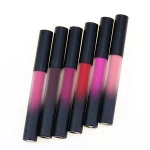 Professional Multi Color Best Long Wear Lady Liquid Lipstick Sparkling Latest Lip Gloss
