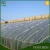 Import Promotion product 200 micron greenhouse film agriculture uv protection blue pe plastic greenhouse film with cheap price from China