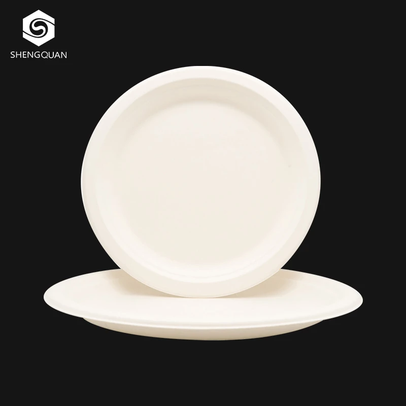Promotional customised bagasse disposable food paper plate 10 inch party paper plate
