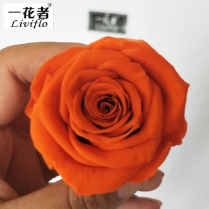 real eternal forever rose flower DIY preserved rose head for decoration