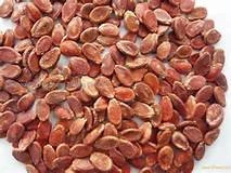 Red dried watermelon seeds