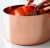 Import Rose gold Stainless Steel With walnut Handle Measuring Cups and Spoons set of 4 Engraved Measurements from China