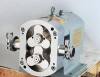 Sanitary Stainless Steel High Viscosity Positive Gear Lobe Rotor Pump