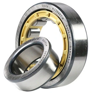 SDVV cylindrical roller bearing NU256