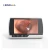 Import self-checking otoscope, 4.3 big screen monitor video otoscope  earscope dental camera from China