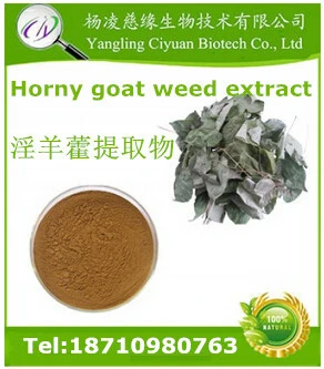 Sex Medicine Epimedium and Horny Goat Weed Extract Powder