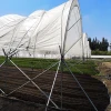 Skyplant High Steel Quality Structure Vegetable Production Greenhouses
