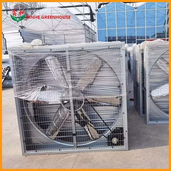 Fan Used for Film Greenhouse Glass Greenhouse PC Board Greenhouse