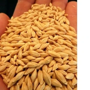 specification feed barley