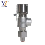 Stainless steel safety valveLNG Liquid Pressure Relief Safety Valve  with Normal Temperature Media