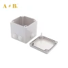 Standard Sizes IP56 Waterproof Cable Enclosure 100*100*100mm Size Project Junction Box