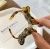 Import Stylish and simple double sided bow wild tortoiseshell girl hair claw clip from China