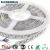 Import Super Flux IP68 Blue Color waterproof led strip from China