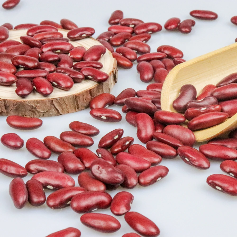 superior quality dry dark red kidney beans