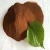 Import Supply Natural Pure Shilajit Extract Fulvic Acid Powder from China