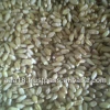 Supreme Wheat Supplier from India