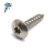 Import Tapping Screws Factory Zinc Pan Frame Cross Self-drilling Tapping Screws self threading nuts steel -prince  fastener from China