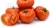 Import Tomato Plant Seeds, Seedlings, Bulbs, Vegetable Seeds for Agriculture from Canada