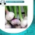 Import Top Quality Fresh Garlic from Egypt