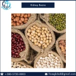 Top Quality Kidney Beans for Bulk Buyers